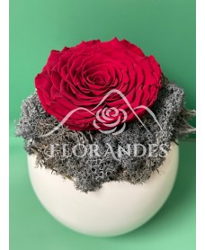 Aranjament cu trandafir criogenat rosu